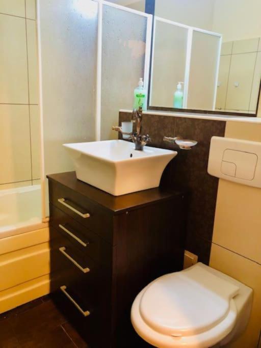 Joy City Stay Republicii 19 Тимишоара Экстерьер фото